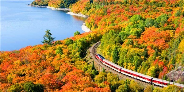 
专家学者汇聚一堂  为草学创新和草业可连续生长孝敬智慧：beat365平台入口(图5)