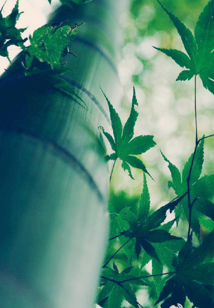 beats365唯一官网