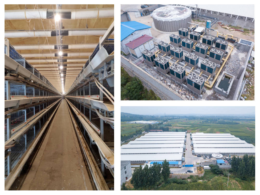 
节能革新|beats365(图6)