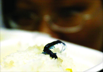 温家宝在政府工作报告中关注养猪业【beat365平台入口】(图3) 温家宝在政府工作报告中关注养猪业【beat365平台入口】(图3)