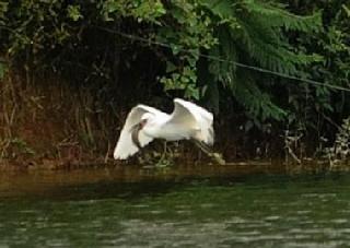 “beats365唯一官网”王健林谈体育产业 致力打造国际级体育巨头公司(图1) beats365唯一官网