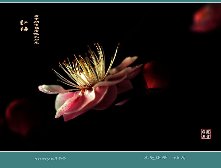 beats365唯一官网|山东济宁：两个县市奶业获得国家扶持资金(图2)