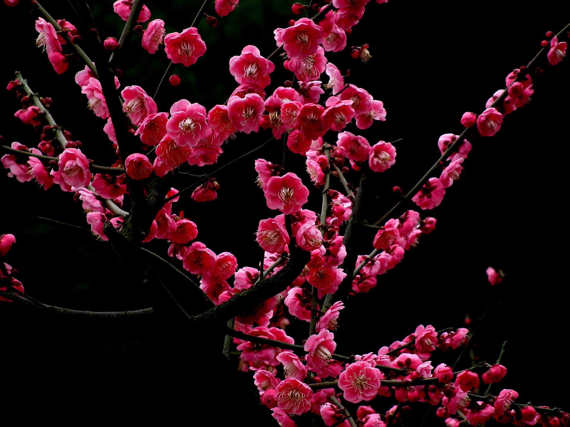 beats365_“中国寻根之旅”福建海丝文化营开营(图1) beats365_“中国寻根之旅”福建海丝文化营开营(图1)