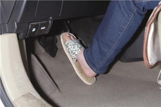 beats365唯一官网_我国畜牧业发展驶入快车道(图3)