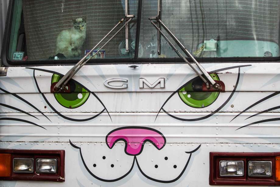 beats365唯一官网|
什么类型的男子容易出轨?(图2)