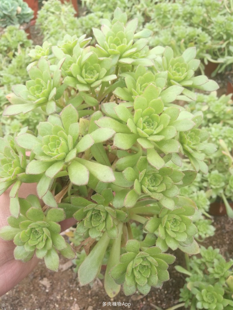 beats365唯一官网