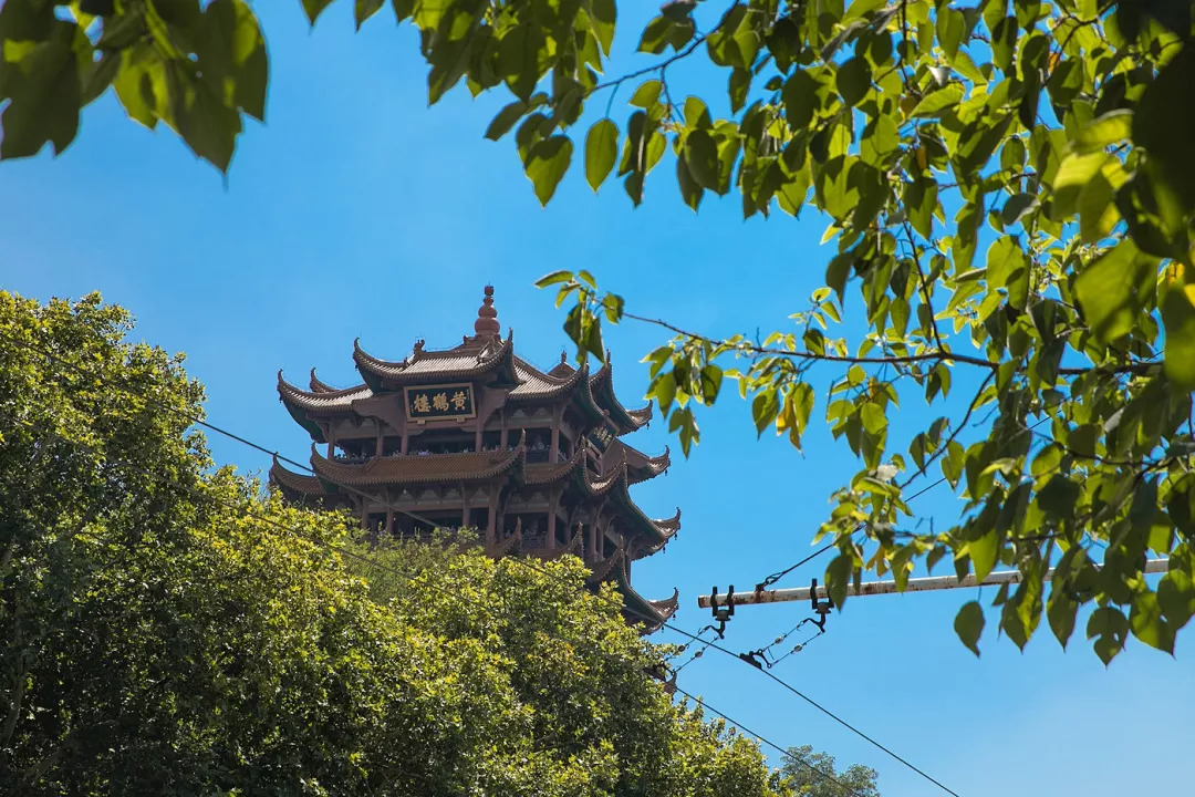 两会将启 刘汉元提案关注农业大数据_beats365(图2)