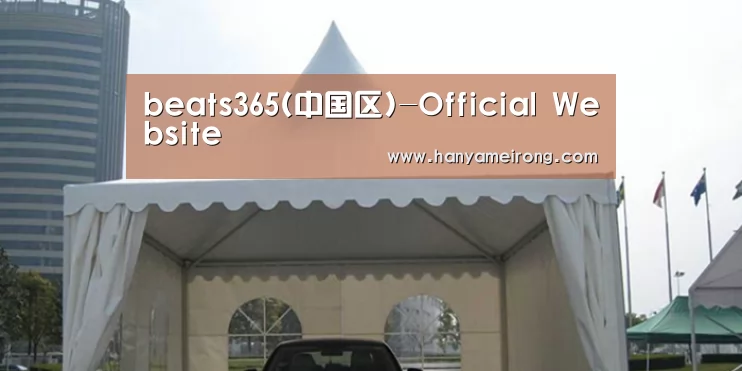 案例标题八