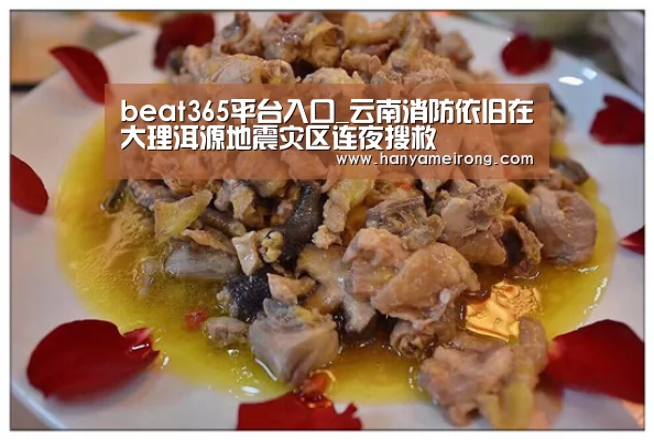 beat365平台入口_云南消防依旧在大理洱源地震灾区连夜搜救(图4)