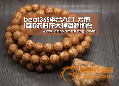 beat365平台入口_云南消防依旧在大理洱源地震灾区连夜搜救(图2)