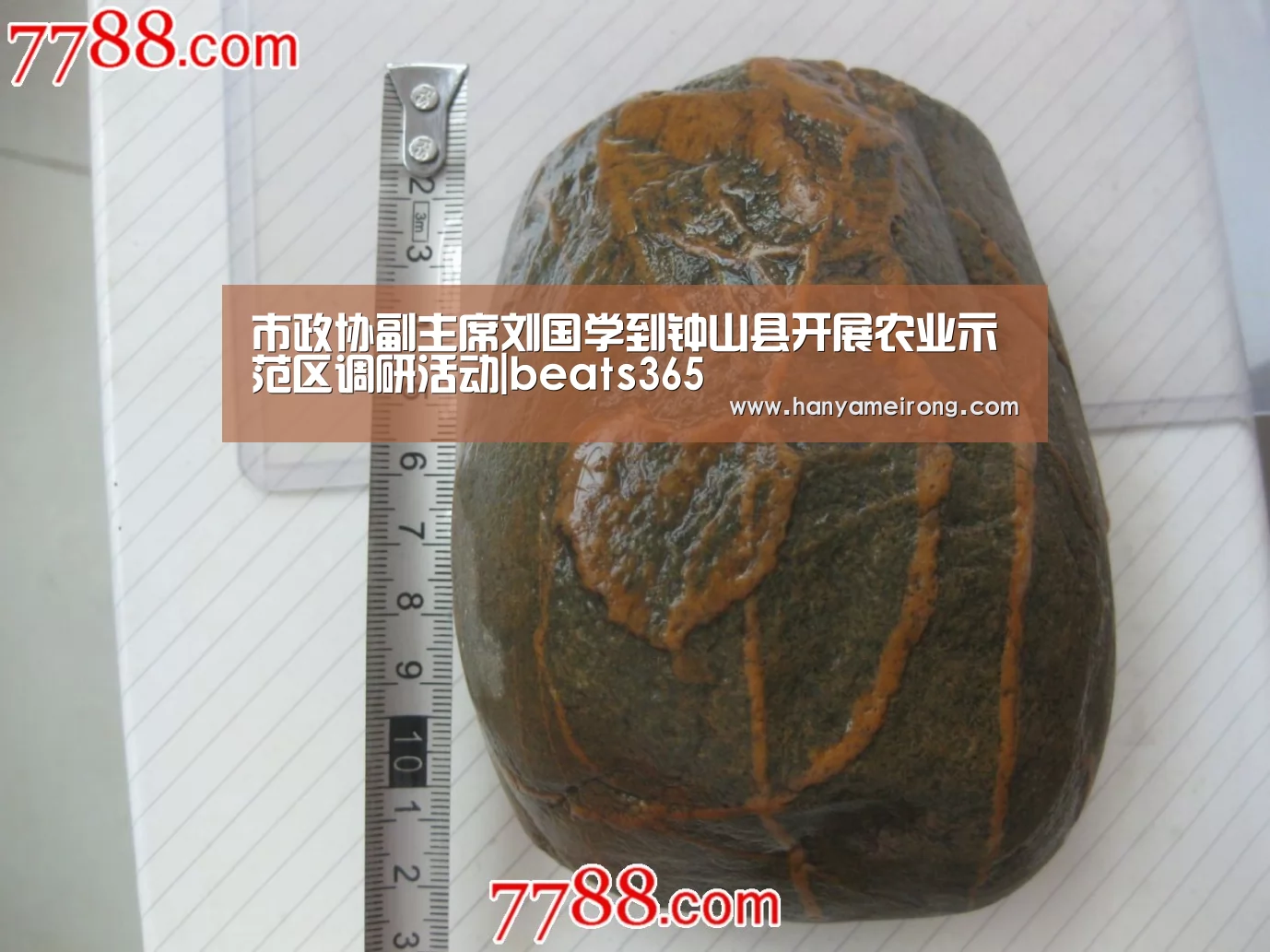 市政协副主席刘国学到钟山县开展农业示范区调研活动|beats365(图3) beats365唯一官网