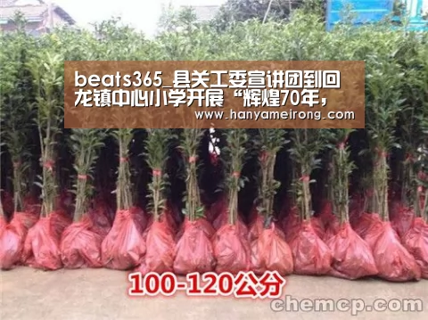 beats365_县关工委宣讲团到回龙镇中心小学开展“辉煌70年,奋斗新时代”宣讲报告会(图4) beats365_县关工委宣讲团到回龙镇中心小学开展“辉煌70年,奋斗新时代”宣讲报告会(图4)